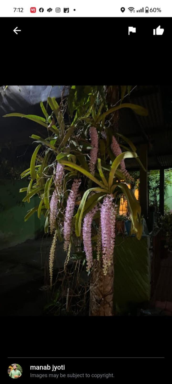 Orchid Park Homestay Sivasagar Exterior foto